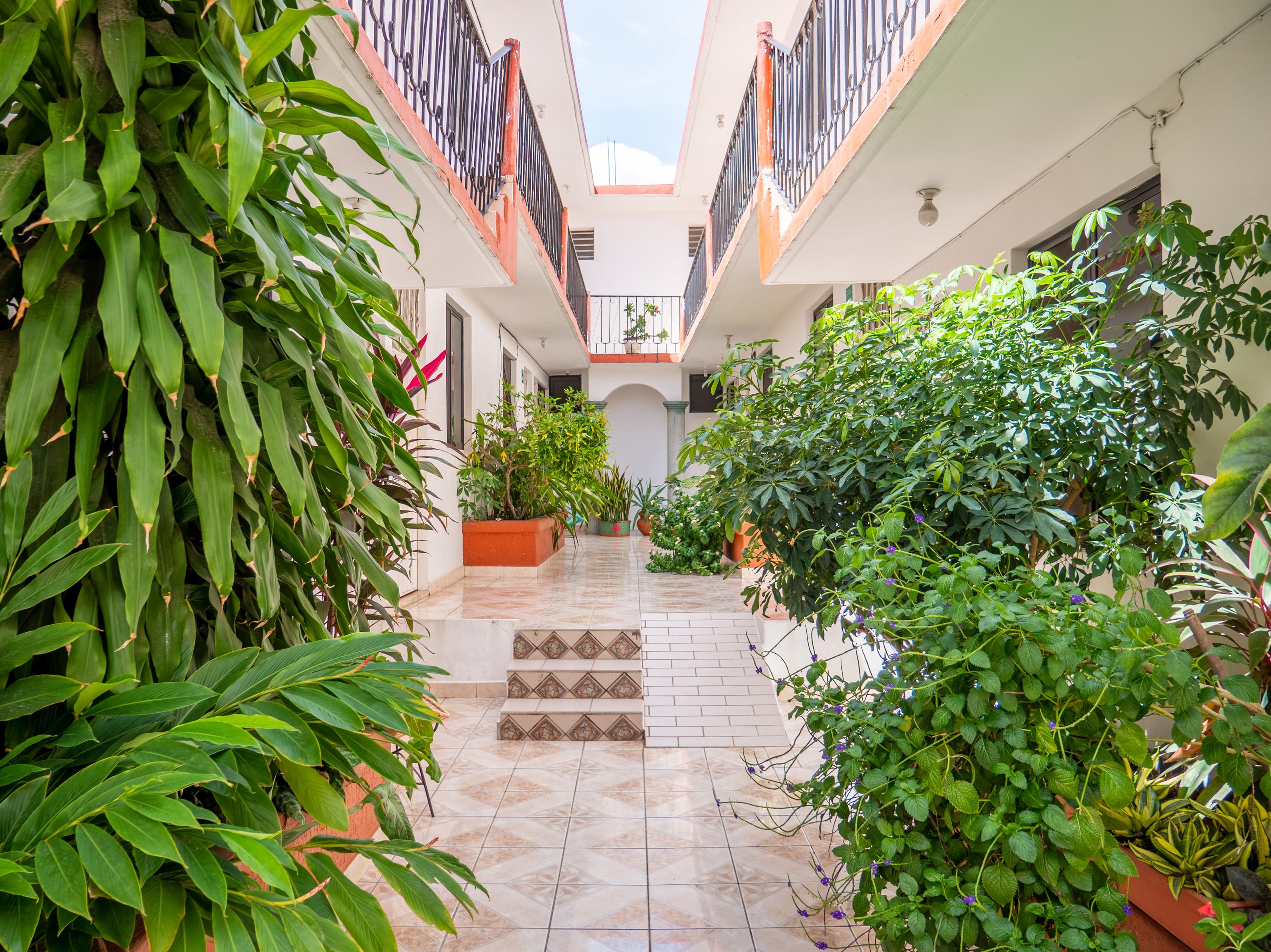 Oyo Hotel Arena Surf, Puerto Escondido Εξωτερικό φωτογραφία